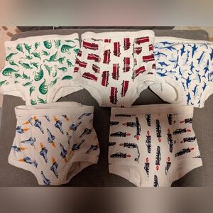 Hanna Andersser 5-pack Training Underwear Size S